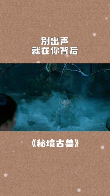 猫猫冒险团